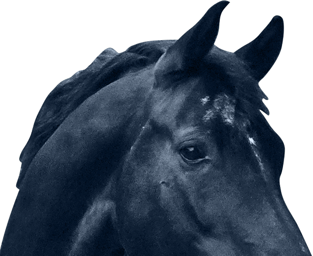 magellan-conditions-analytics