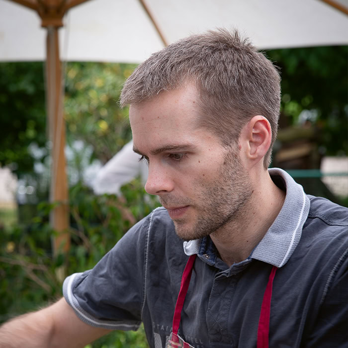 david schwingenschloegel